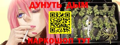 a pvp Новокубанск