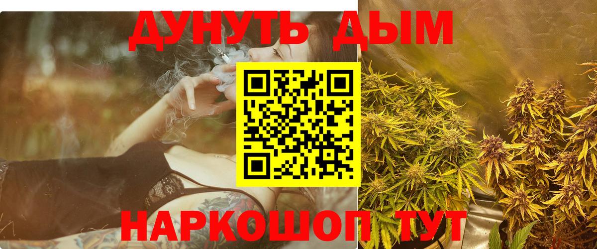 Бошки Шишки сатива  Каннабис AK-47  Советский  Вход с VPN  Конопля семена 